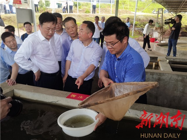 刘少军院士团队工作室落户浏阳乌龙渔场 岳麓山水产种业创新中心——乌龙渔场基地同时揭牌 刘少军院士团队工作室落户浏阳乌龙渔场 岳麓山水产种业创新中心——乌龙渔场基地同时揭牌